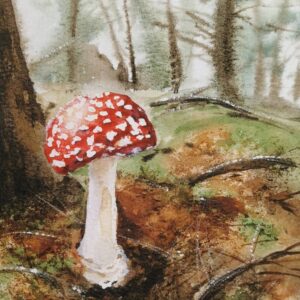 Aquarell eines Fliegenpilzes im moosigen Waldboden zwischen Bäumen – Naturstudie von Monika Bargieł.