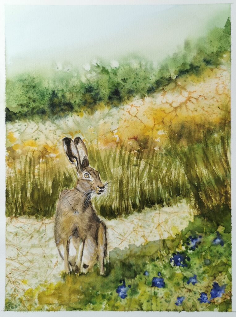 Aquarell eines Feldhasen in einer sommerlichen Wiesenlandschaft mit Wildblumen – Tiermotiv von Monika Bargieł.