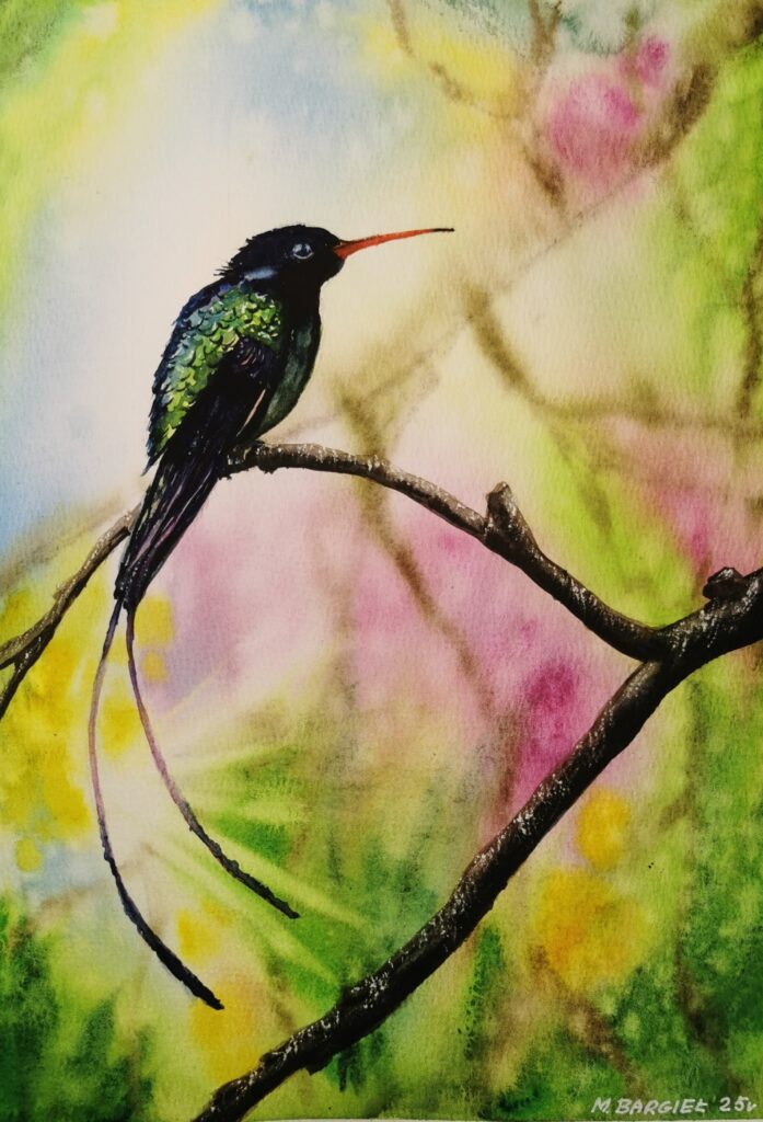Aquarell eines exotischen Vogels auf einem Ast vor einem farbenfrohen Frühlingshintergrund – Kunstwerk von Monika Bargieł.