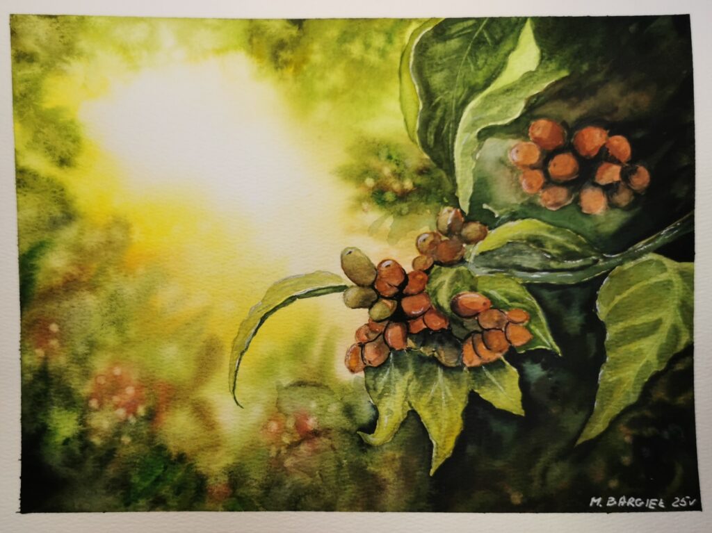 Leuchtendes Aquarell mit Kaffeekirschen und rotbraunen Früchten im tropischen Licht – Werk von Monika Bargieł.