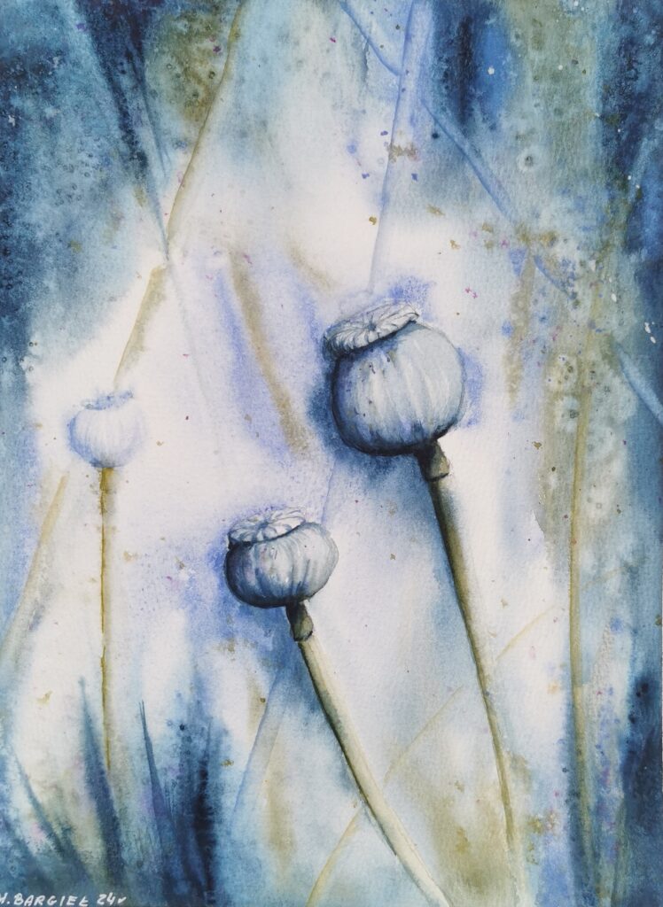 Aquarellmalerei von Mohnkapseln in Blau- und Grautönen – poetisches Naturmotiv von Monika Bargieł.
