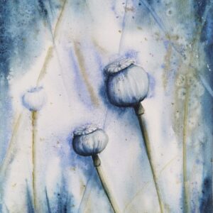 Aquarellmalerei von Mohnkapseln in Blau- und Grautönen – poetisches Naturmotiv von Monika Bargieł.